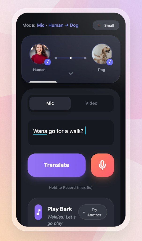 Translator screen